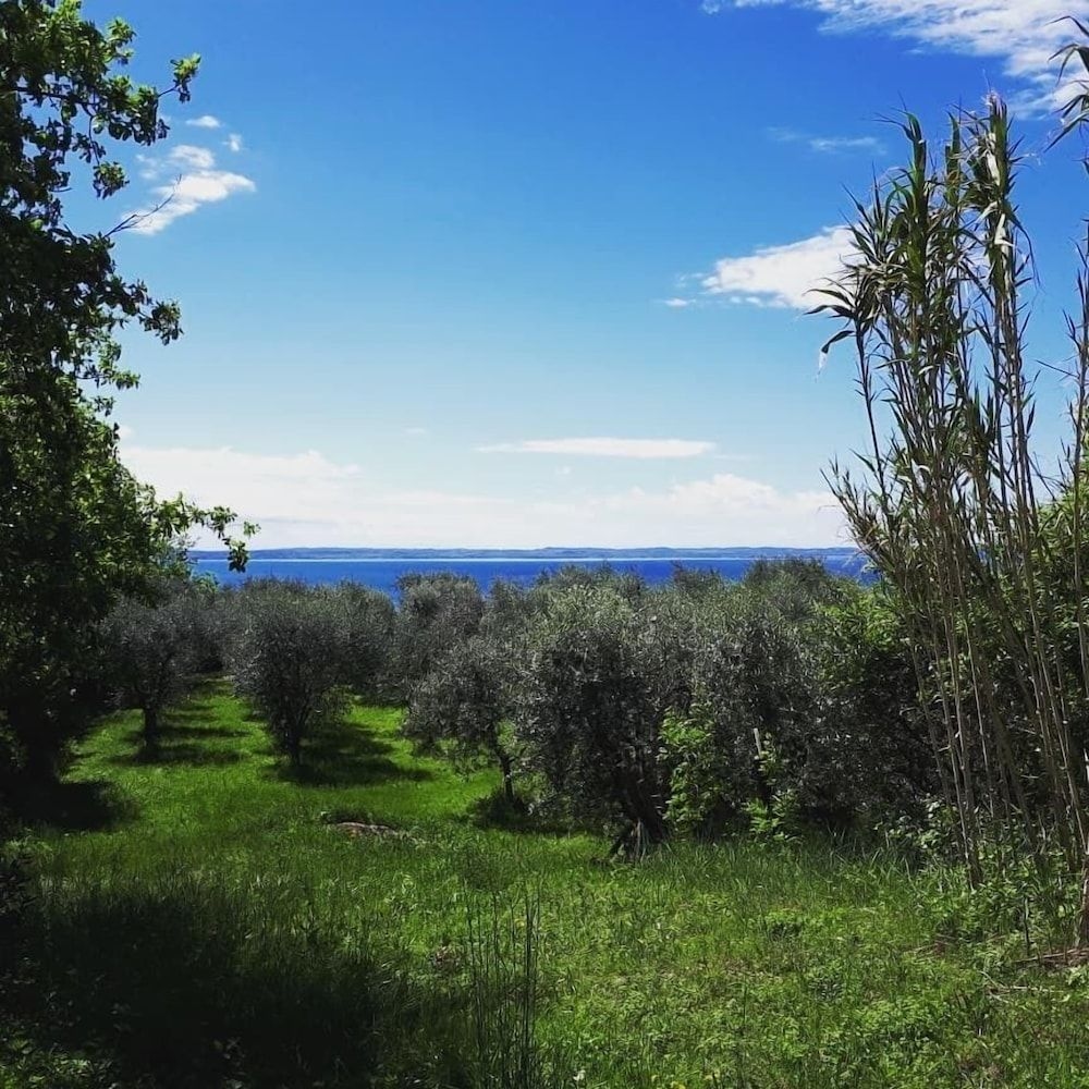 Agriturismo La Rocca0