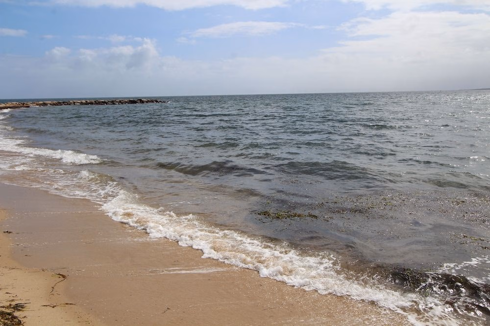 Surfside Resort0