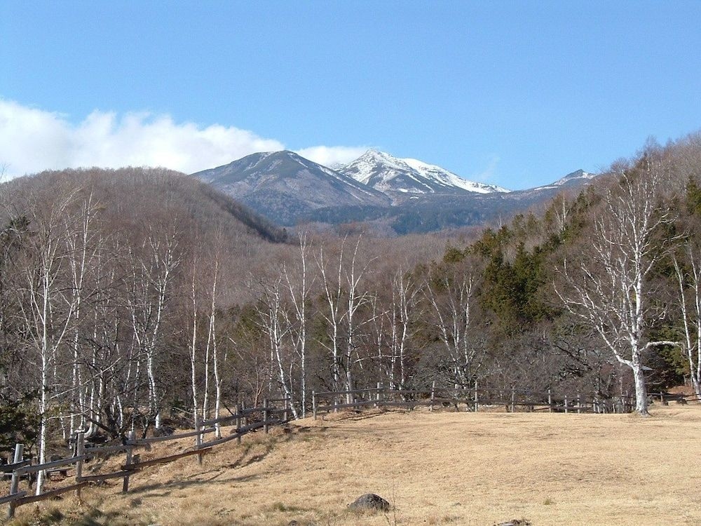 Onsen Inn 36So0