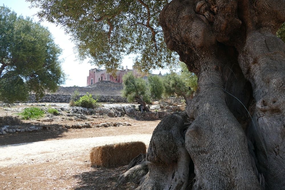 Masseria Spina Resort1