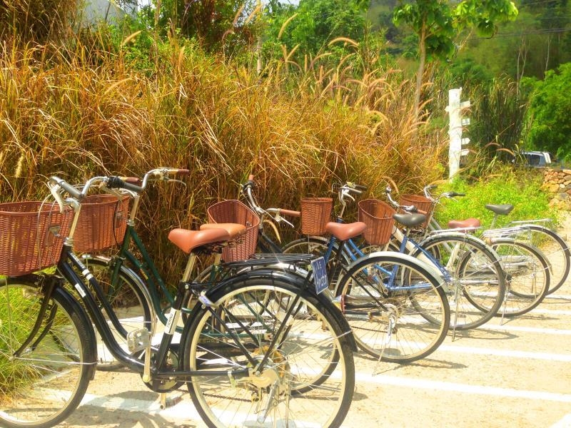 อริสโต ชิค รีสอร์ท แอนด์ ฟาร์ม (Aristo Chic Resort and Farm)2