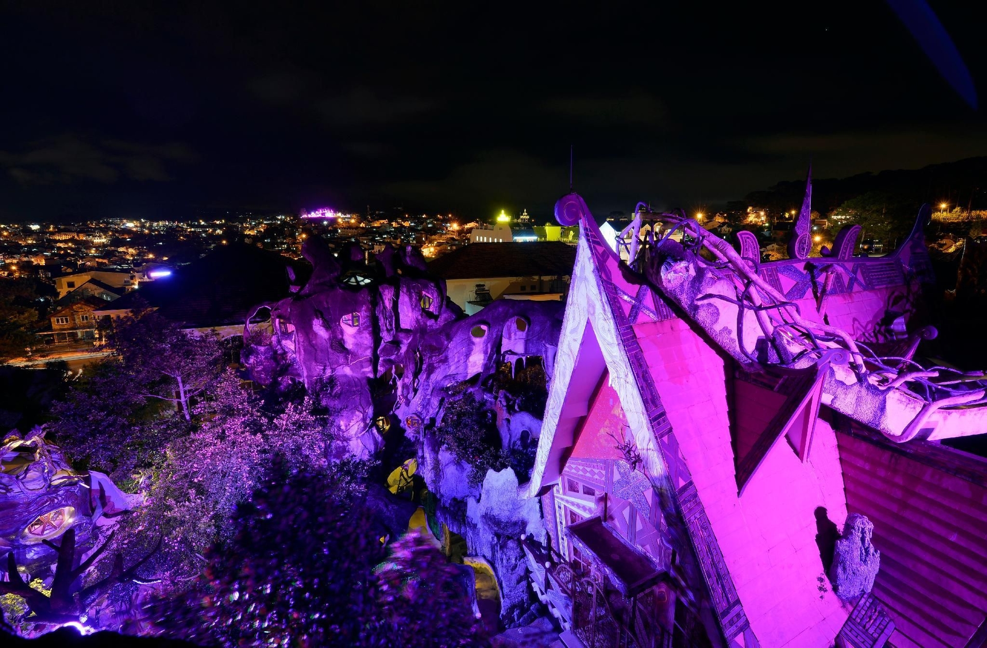 เครซี เฮาส์ ด่าหลัต (Crazy House Dalat)0