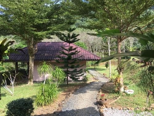 เขาสก ฮิลล์ท็อป รีสอร์ท (Khao Sok Hill Top Resort)1