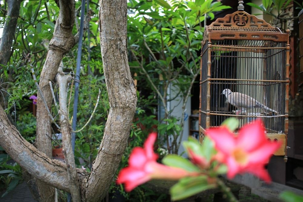 Simon Homestay4