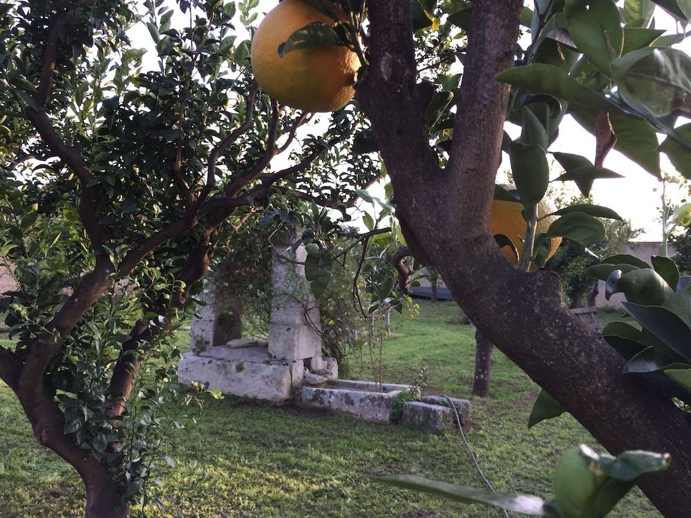 Agriturismo Arangea4