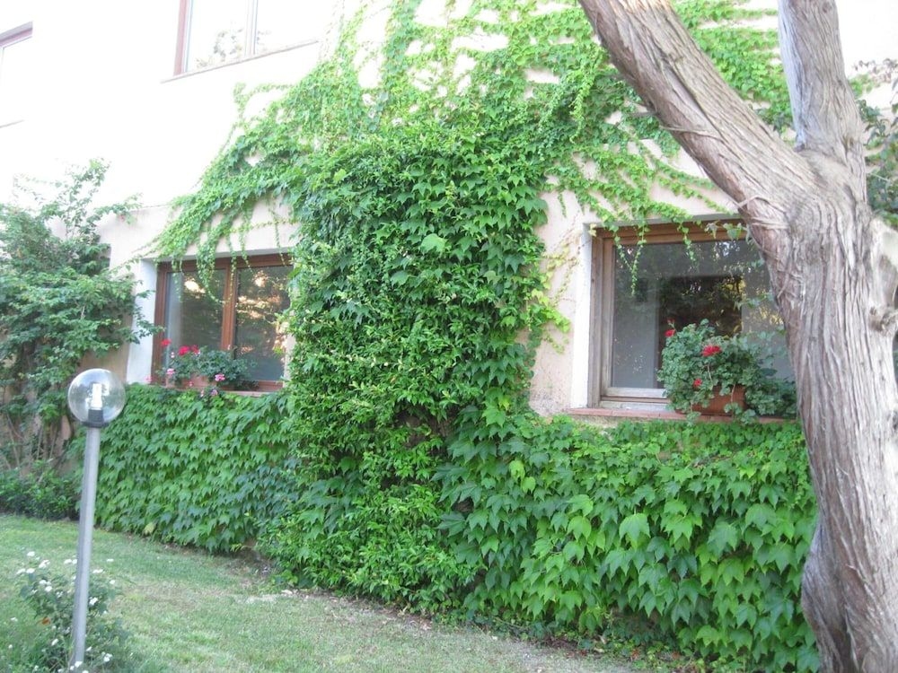 Valdiola3