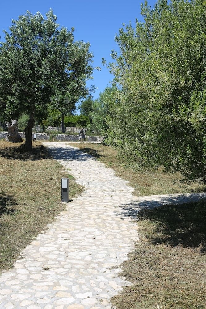 l'Albitru4