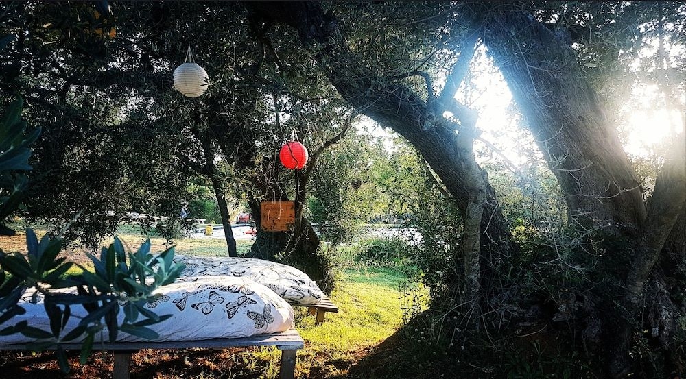 Agriturismo Il Poderino3