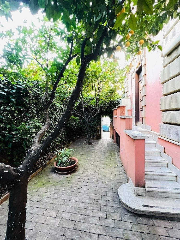 Orange Garden Bed & Breakfast0