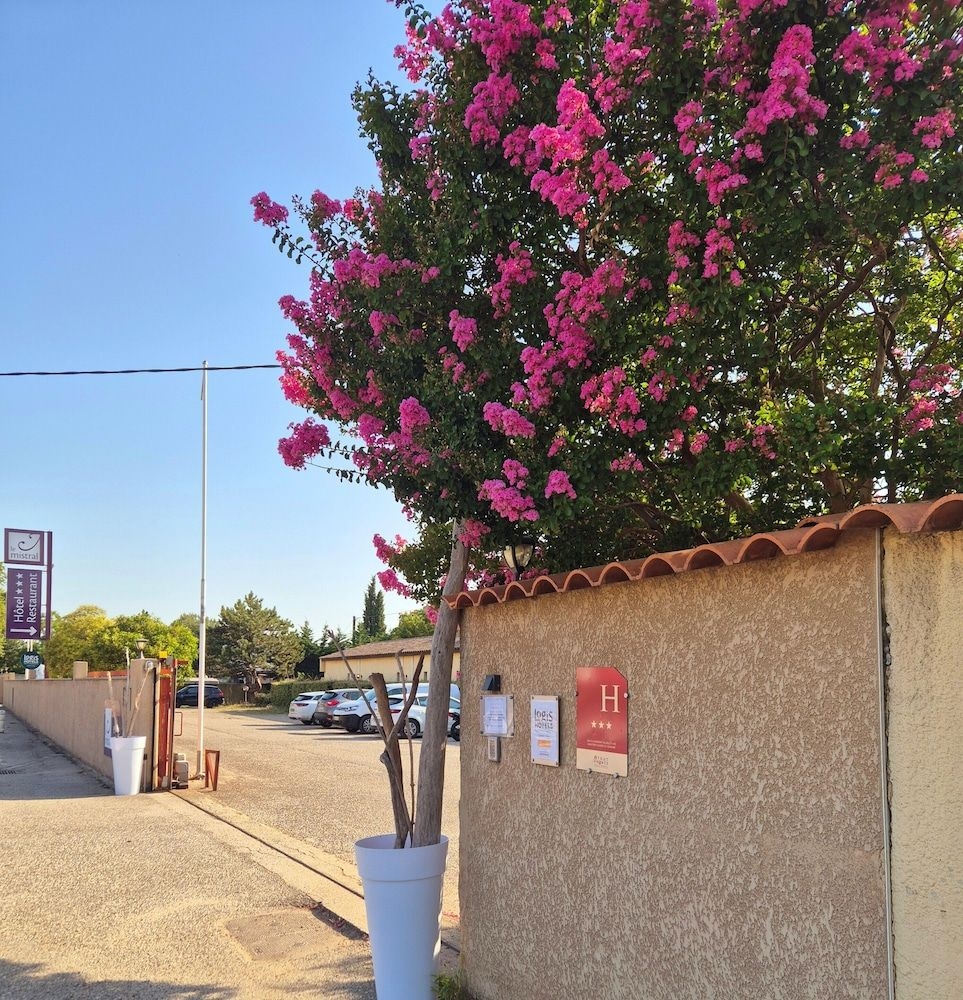 Hotel Le Mistral3