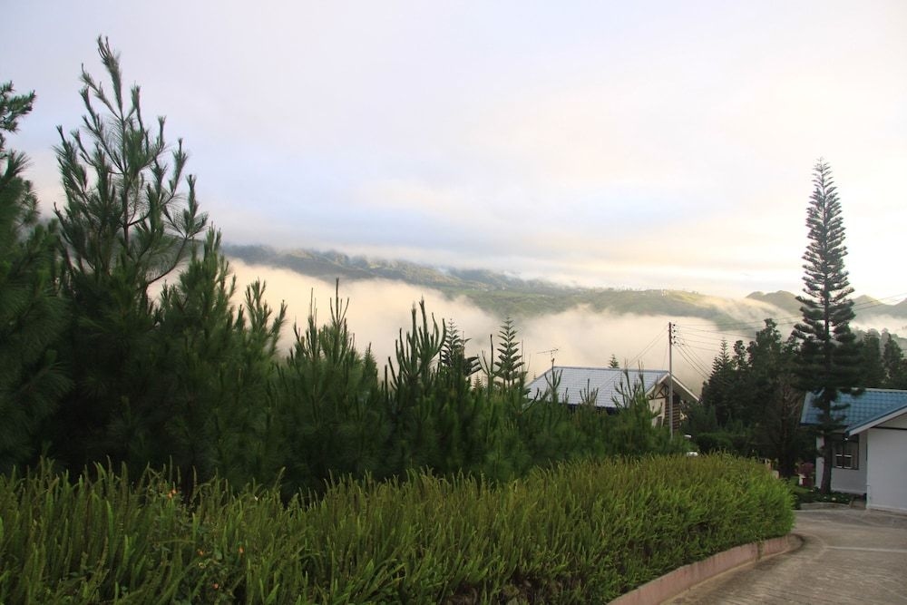 คินาบาลู ไพน์ รีสอร์ท (Kinabalu Pine Resorts)1