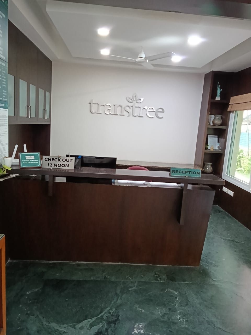 Transtree at Waterville2