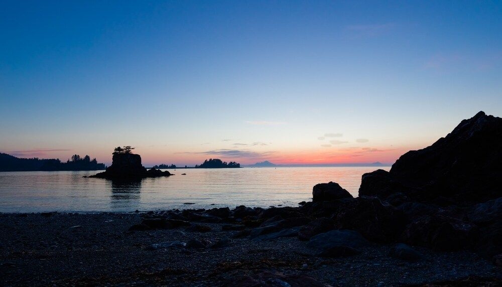 Sea Parrot Inn4