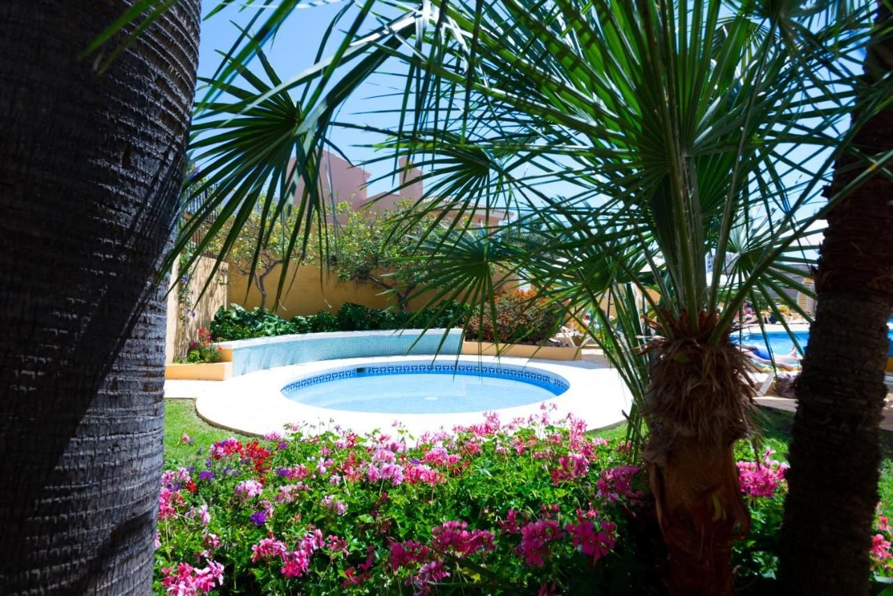 Monarque Torreblanca4