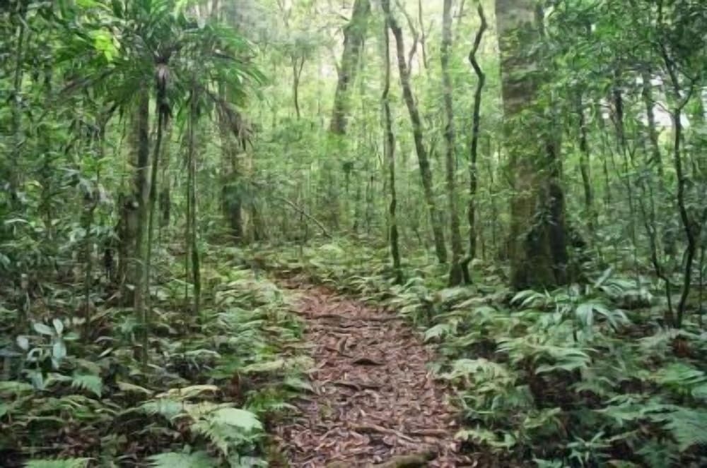 Goomburra Forest Retreat2