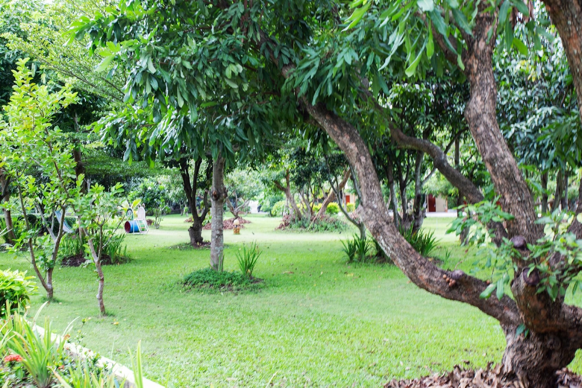 OYO 909 Guiding Star Resort4