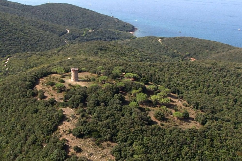 Torre Rivolta1
