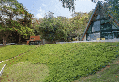 Bamboo Garden House3