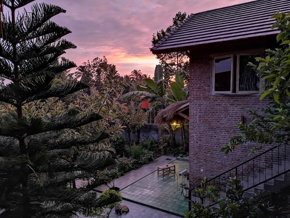 Les Rizieres Lombok2