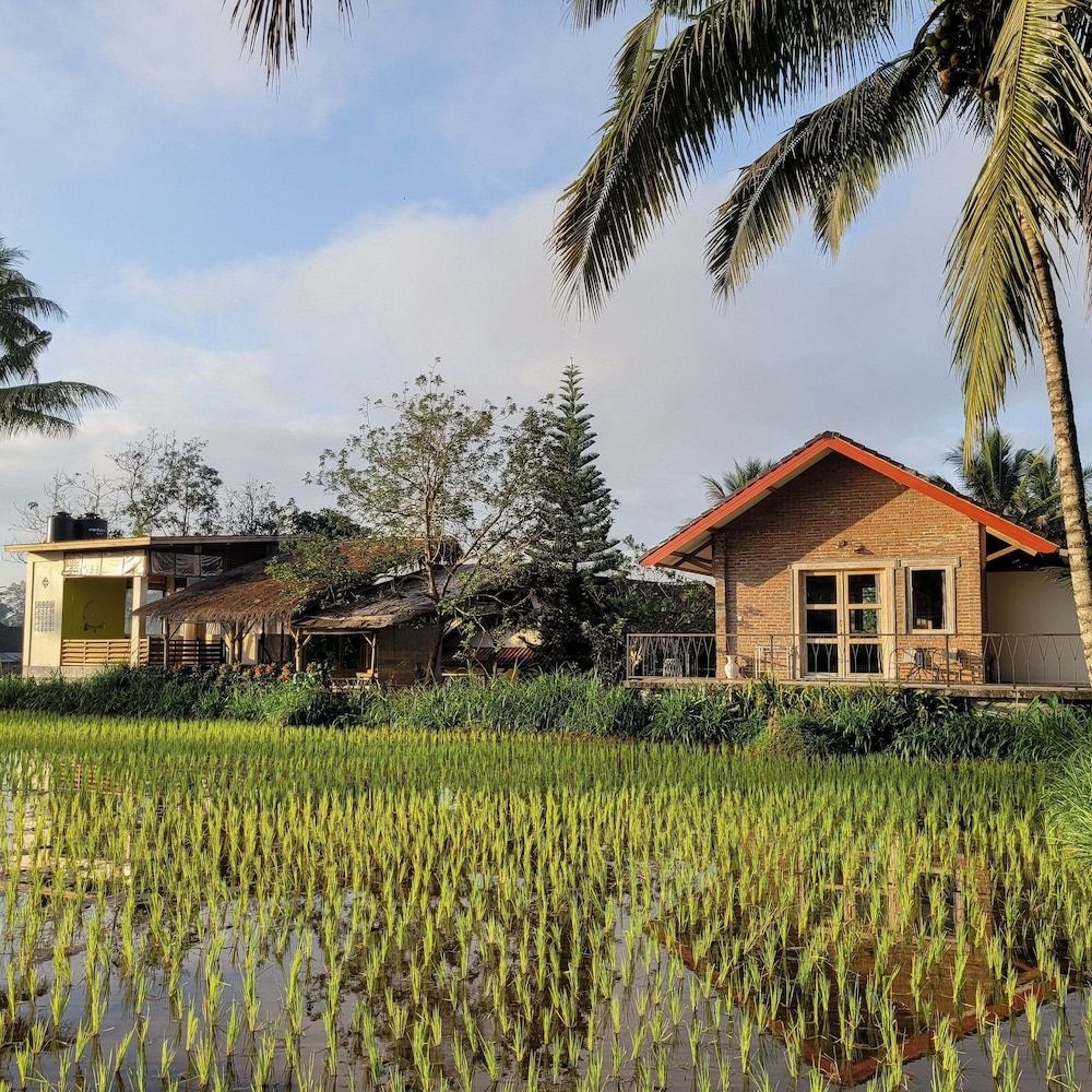 Les Rizieres Lombok3