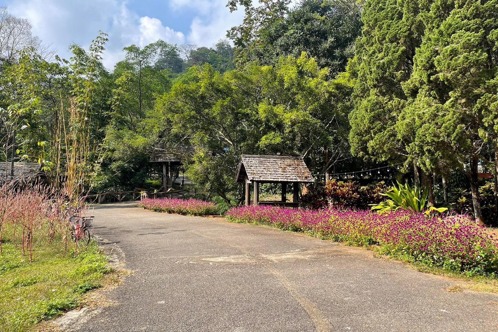ภูอิงฟ้า รีสอร์ท (Phu Ing Fah Resort)4