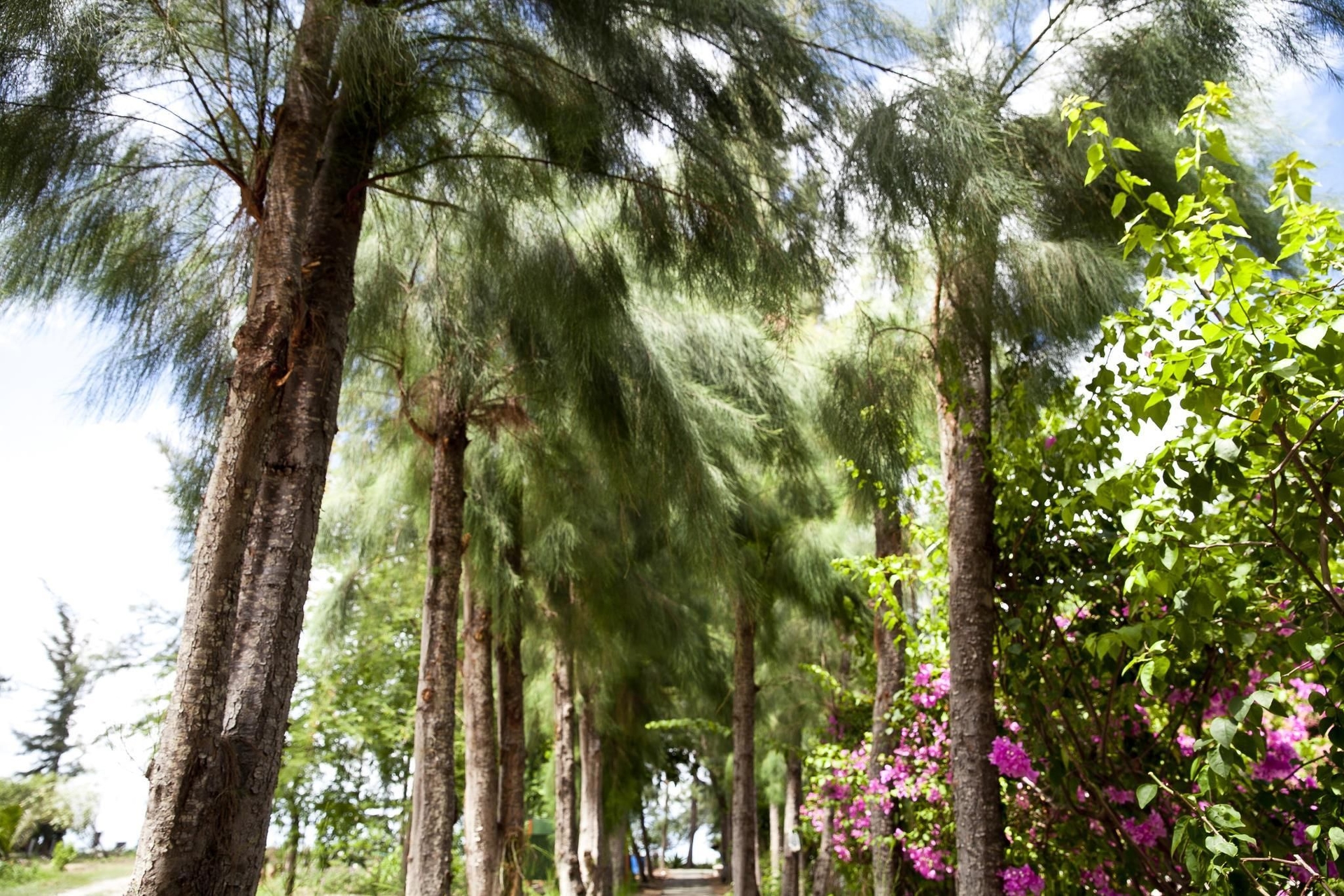 หาดแสงจันทร์ รีสอร์ท (Hadsangchan Resort)4