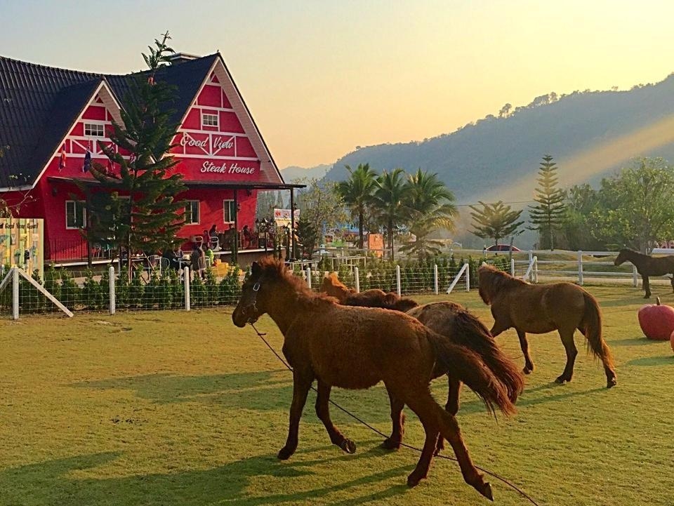 โรยัล กู๊ดวิว รีสอร์ท แอนด์ ฟาร์ม (Royal Good View Resort & Farm)0