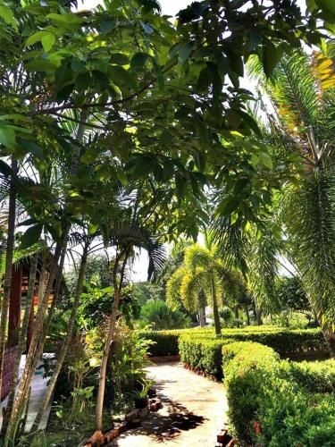 Lanta Queen Resort4