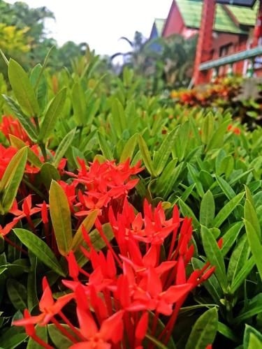 Lanta Queen Resort2