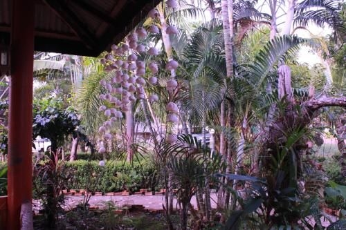 Lanta Queen Resort3