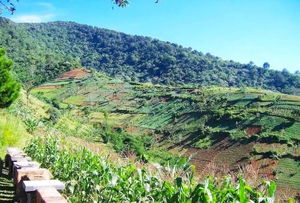 Talita Mountain Resort2