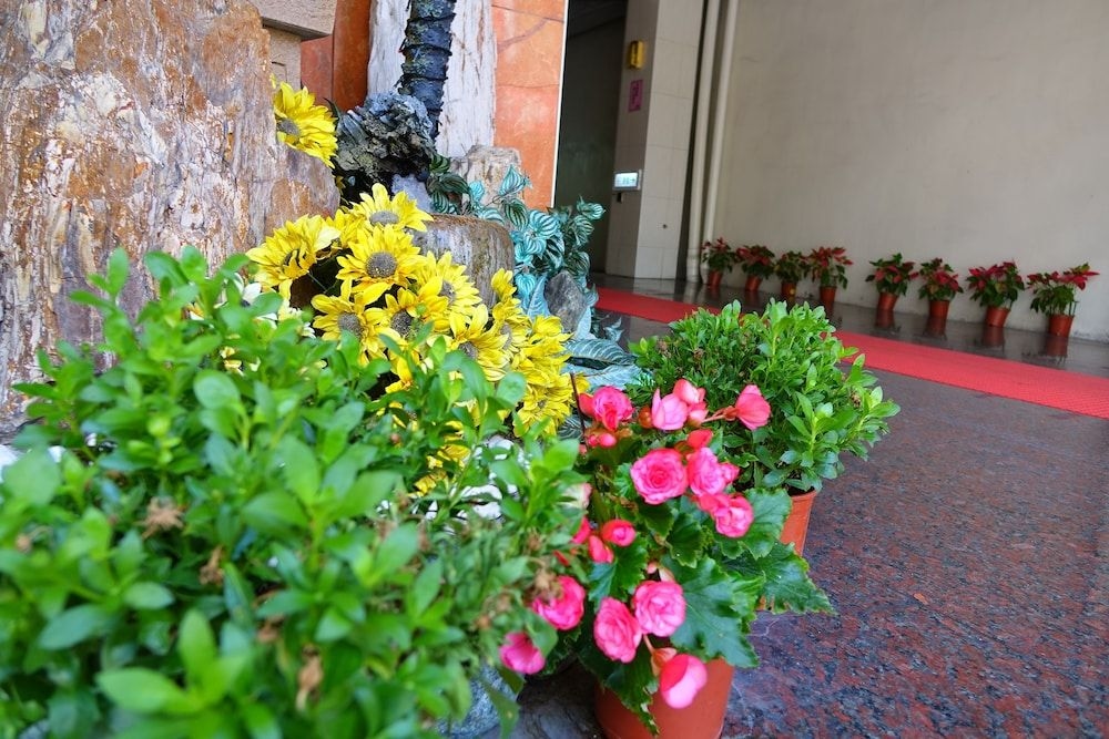 East Commercial Affairs Hotel1