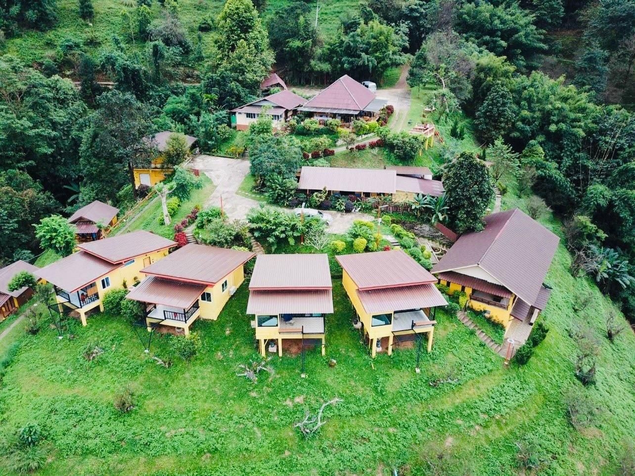 แม่สลอง เมาน์เทน โฮม รีสอร์ท (Maesalong Mountain Home Resort)4