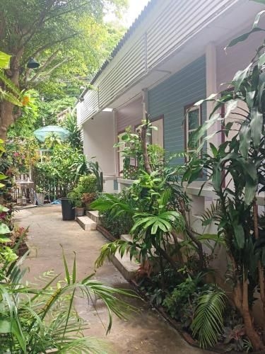 เอเดรียน วิว รีสอร์ท (Adrian View Resort)0