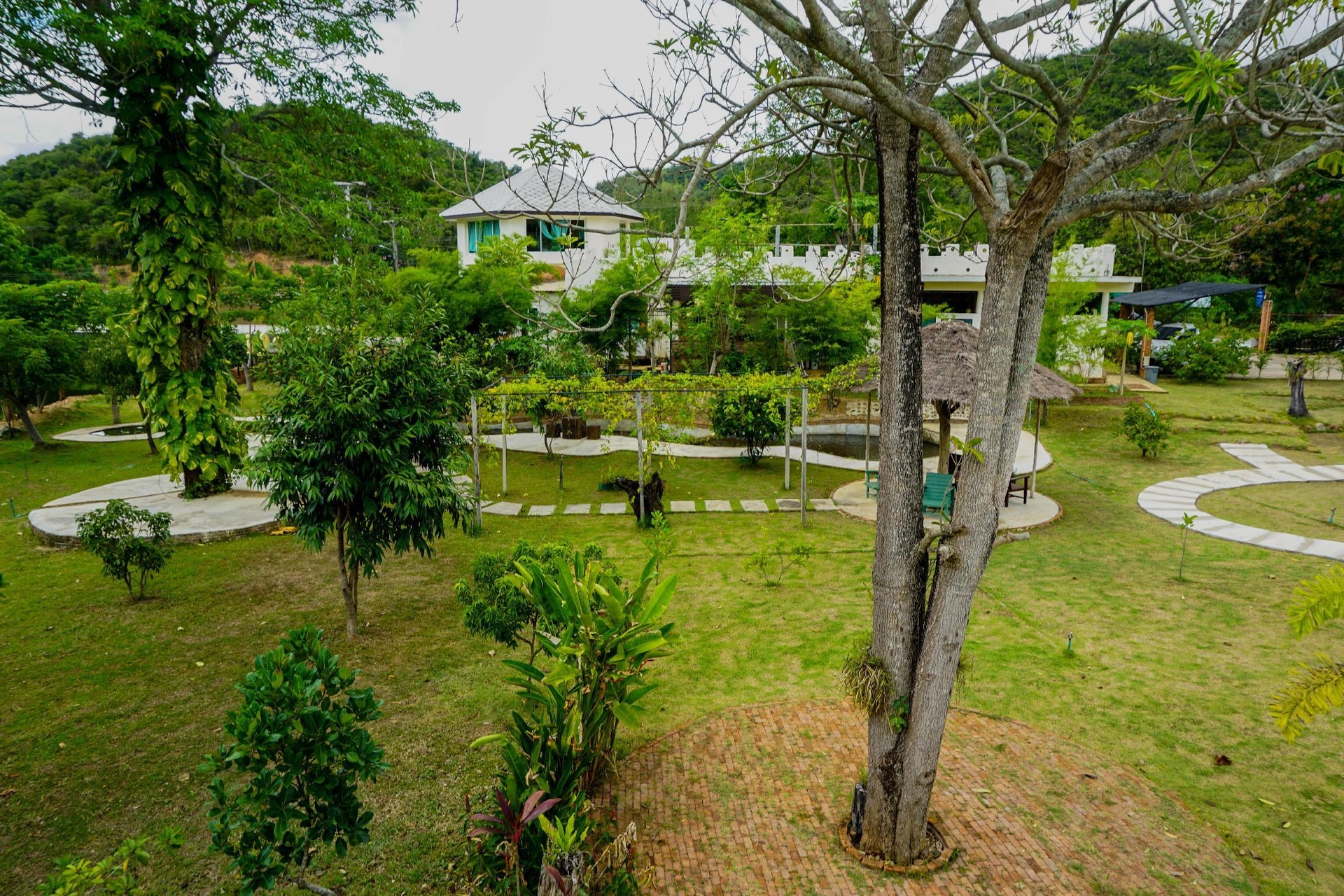 แดนดิไลออน รีสอร์ต (Dandelion Resort)1