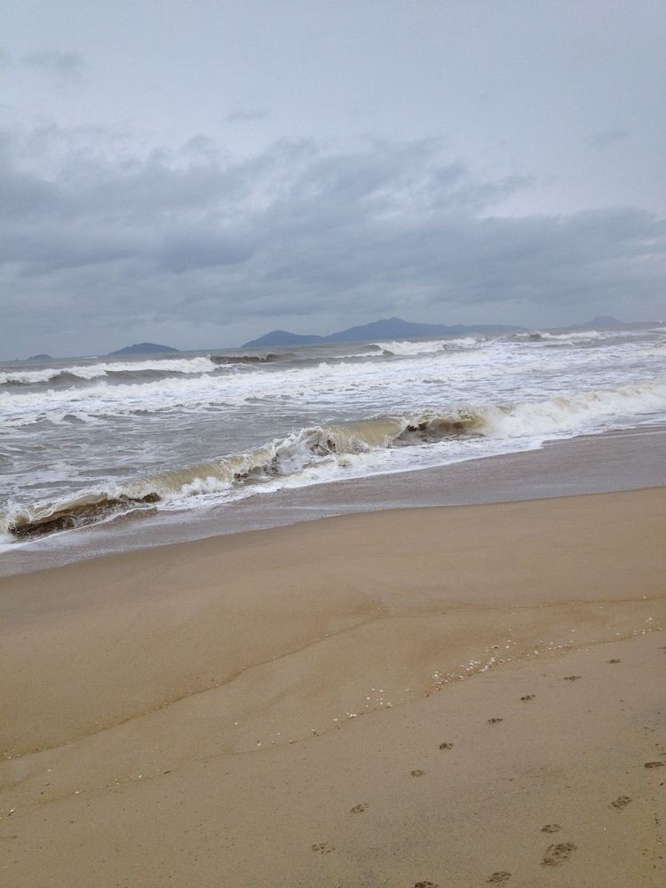Botanic Beach Homestay3