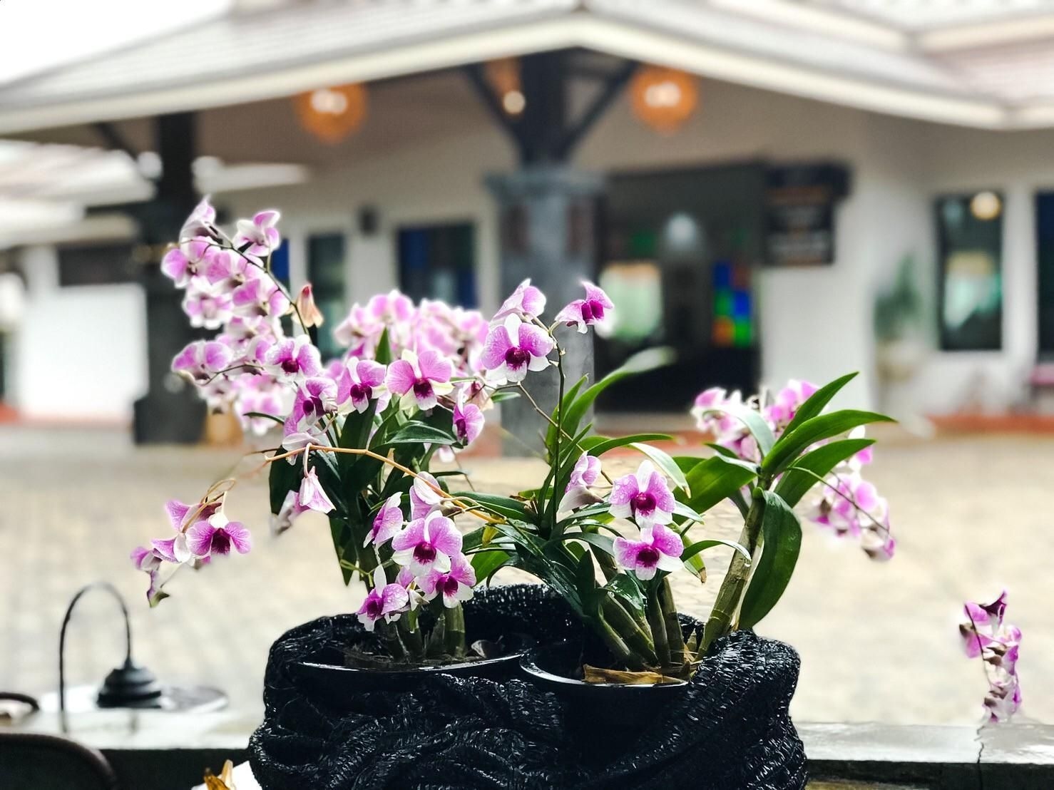 กรณ์วัฒน์ การ์เดน รีสอร์ท (Kornwat Garden Resort)1