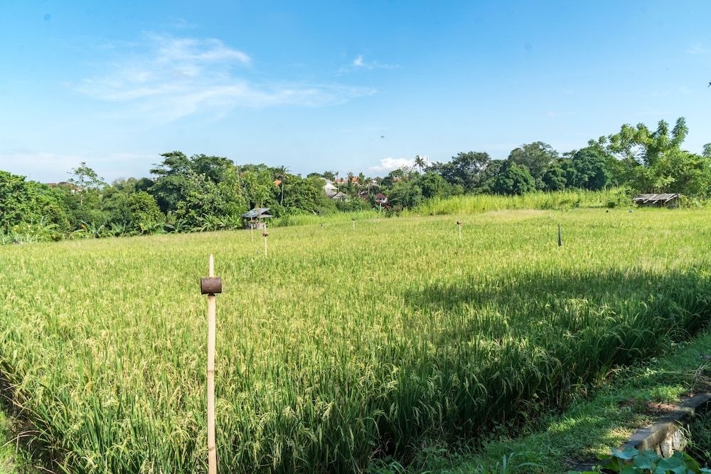 Villa Ruku Ruku0