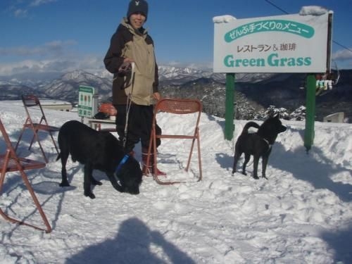 เพนชั่น แอนด์ เรสเทอรองต์ กรีน แกรส (Pension & Restaurant Green Grass)2