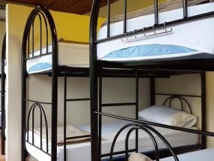 Lazy House3