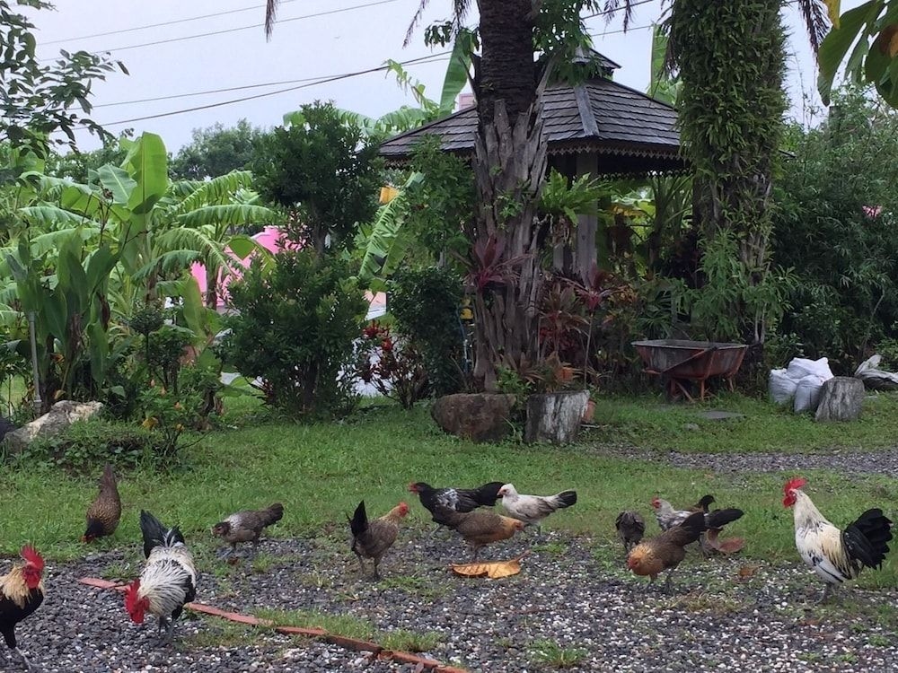 Beautiful Yilan Resort1