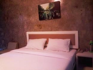 Pyrmont Ville Hotel3