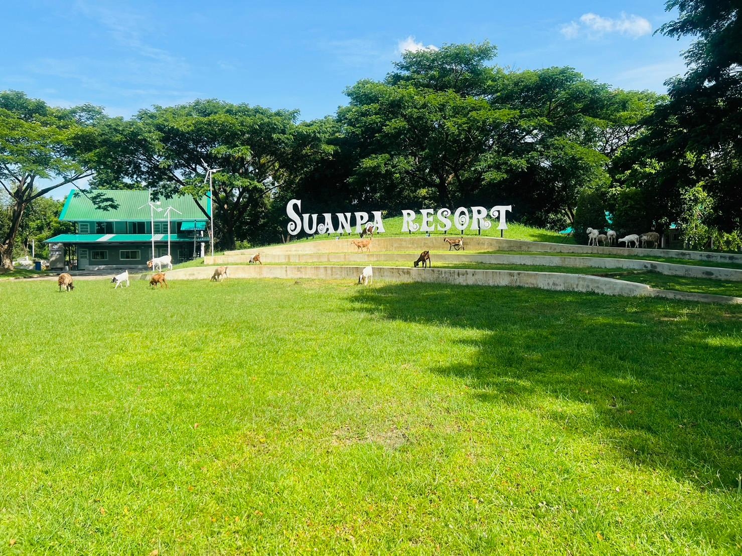 สวนป่า รีสอร์ต (Suanpa Resort)4