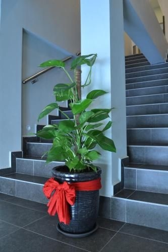 โรงแรม ยู ดีไซน์ เมนตากับ (U Design Hotel Mentakab)1