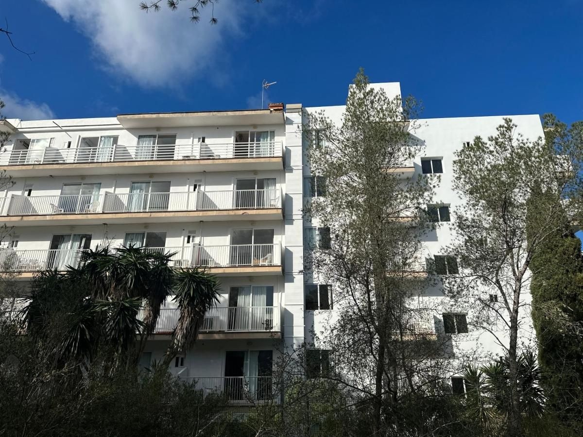 Palma Mazas3