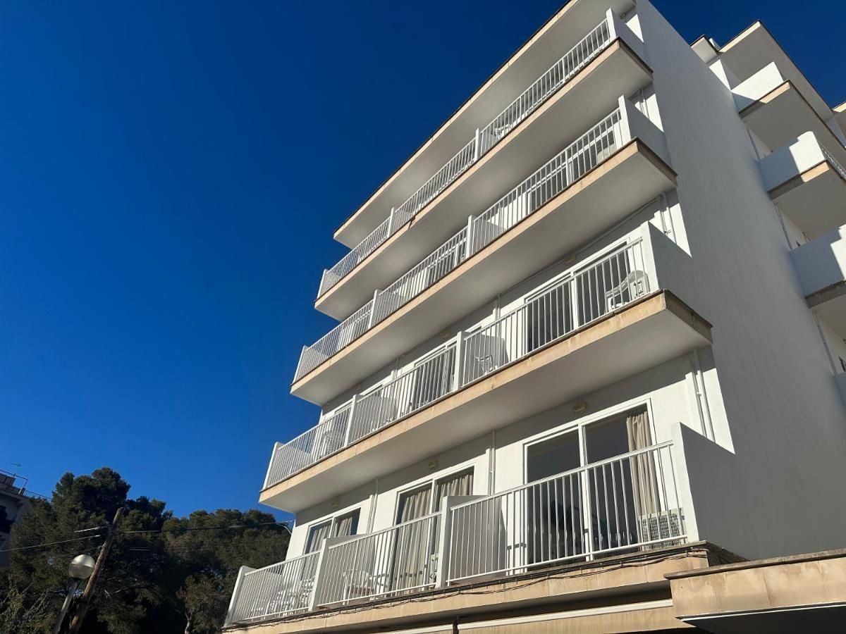 Palma Mazas2