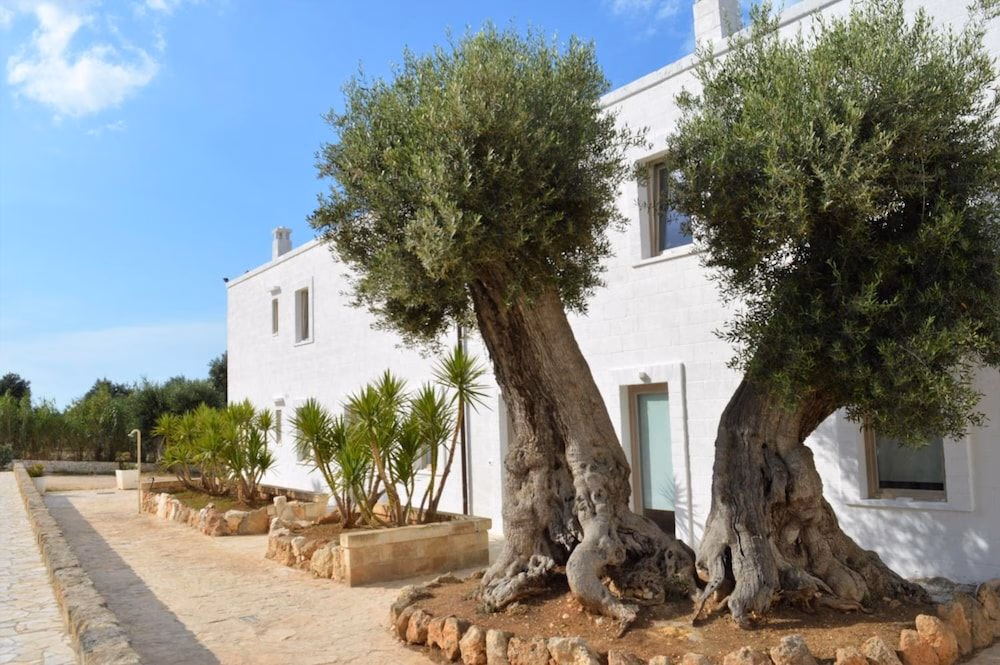 Masseria Torrepietra1