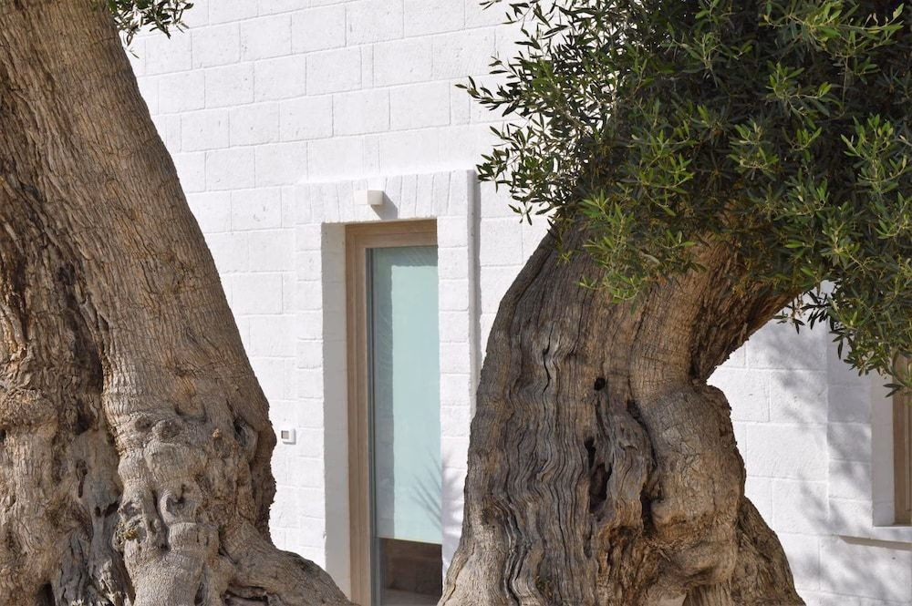 Masseria Torrepietra2