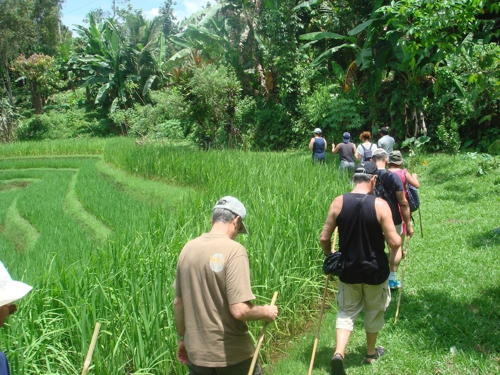 Cempaka Belimbing Villas2