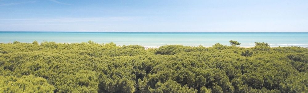 Stella del Mare0